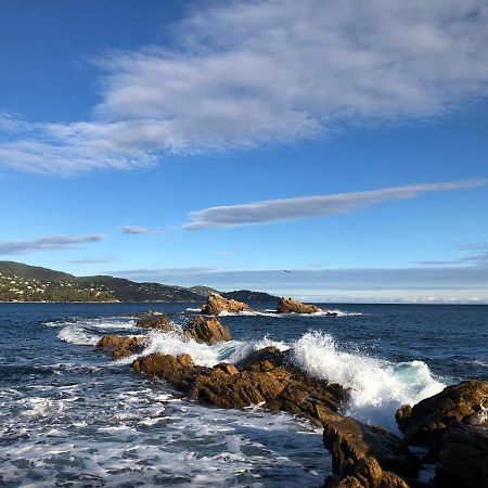 Mer Et Soleil 博尔马斯·莱斯·米默萨斯 外观 照片