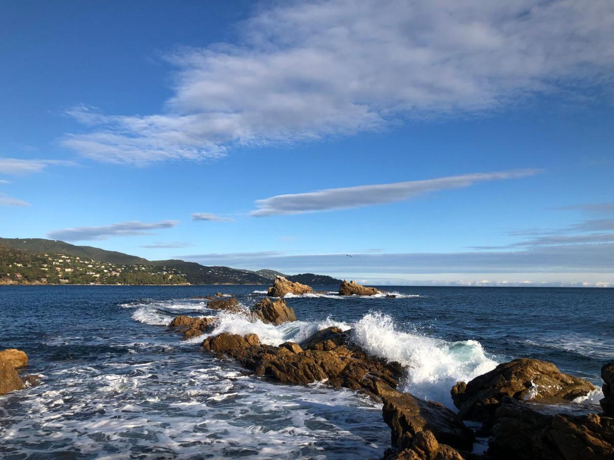 Mer Et Soleil 博尔马斯·莱斯·米默萨斯 外观 照片